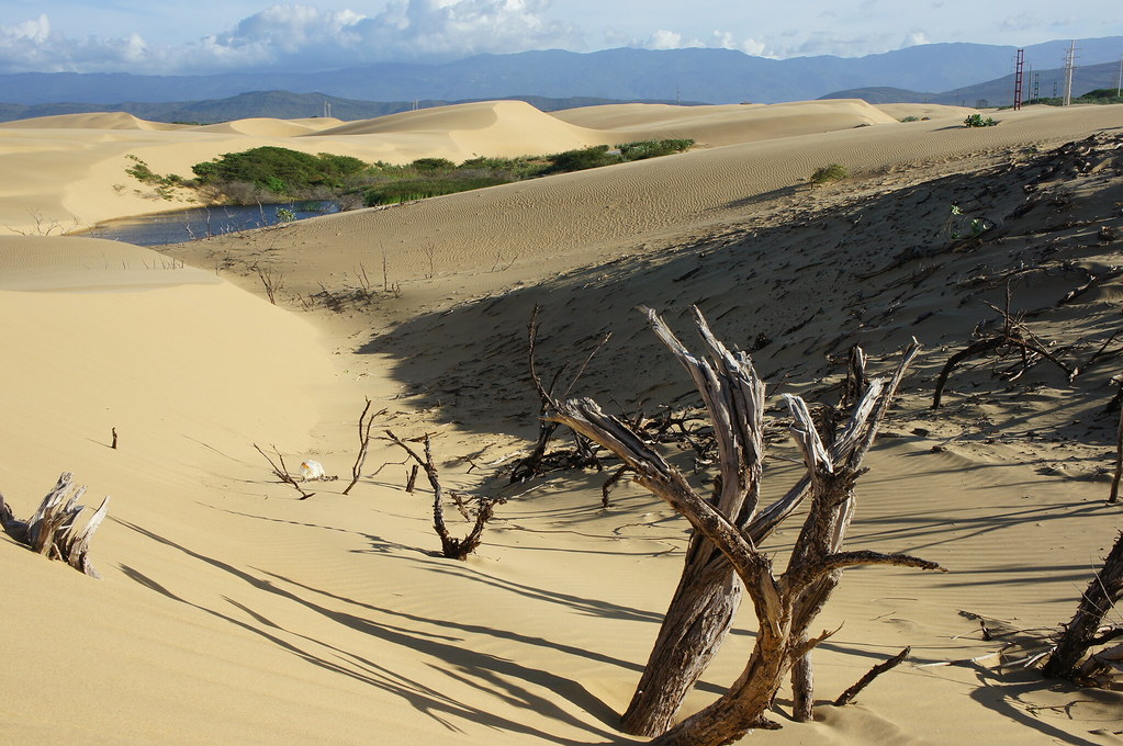 Dunas de los Médanos de Coro, Falcón